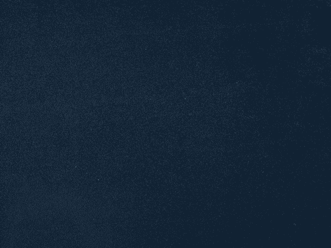 Meadows-Navy Blue